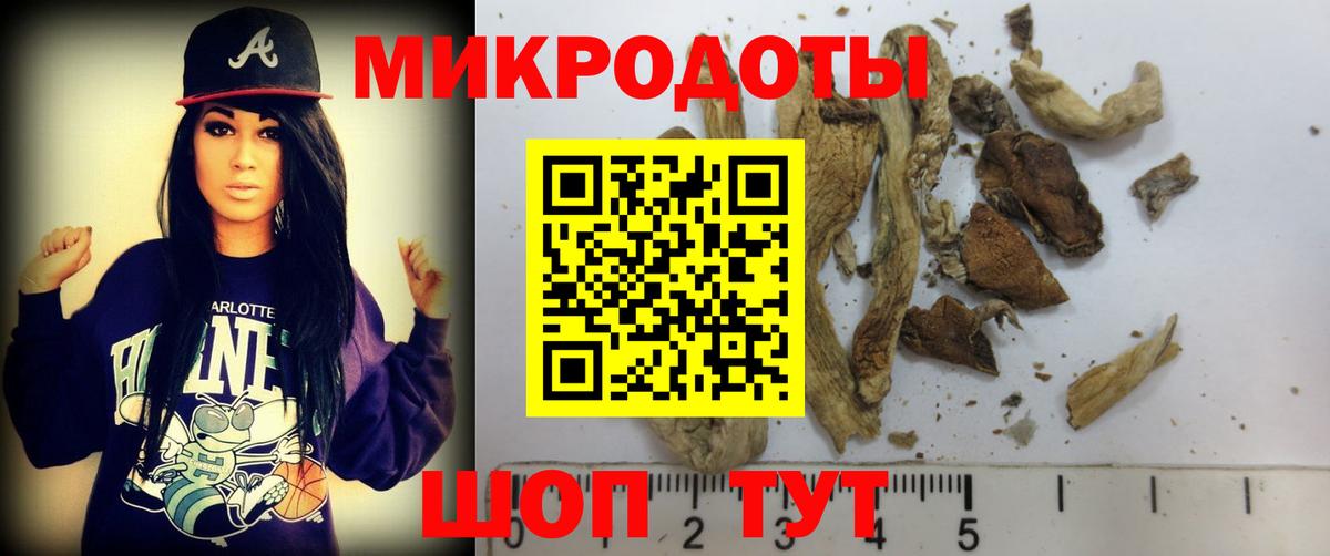 Будённовск  Галлюциногенные грибы Magic Shrooms  Вход с VPN 
